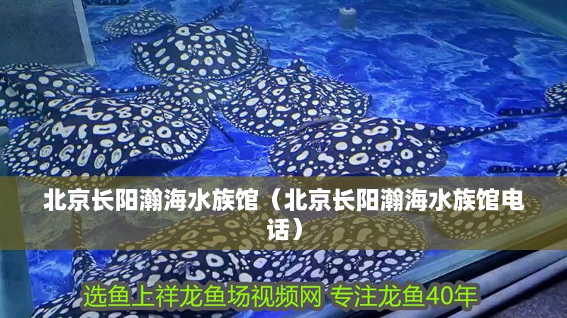 北京長(zhǎng)陽瀚海水族館（北京長(zhǎng)陽瀚海水族館電話）