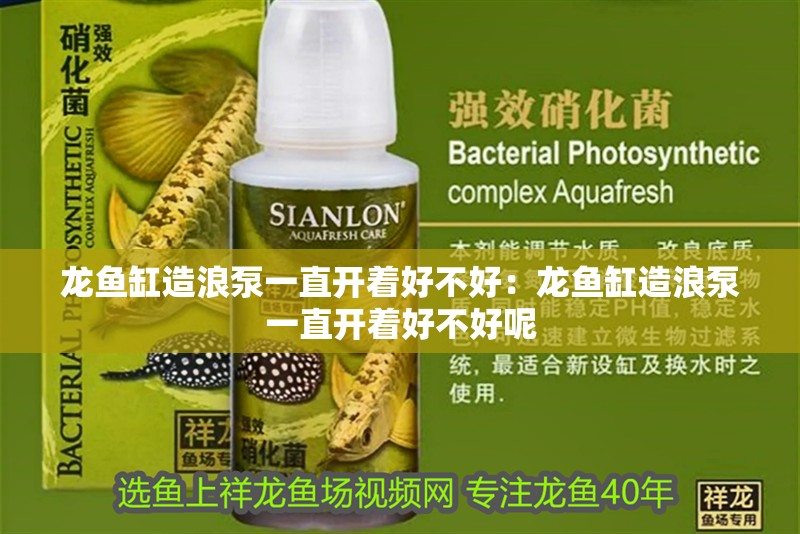 龍魚缸造浪泵一直開著好不好:龍魚缸造浪泵一直開著好不好呢 水族問答 龍魚缸造浪泵一直開著好不好:龍魚缸造浪泵一直開著好不好呢 龍魚缸造浪泵一直開著好不好:龍魚缸造浪泵一直開著好不好呢 水族問答