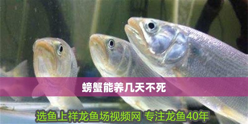 螃蟹能養幾天不死