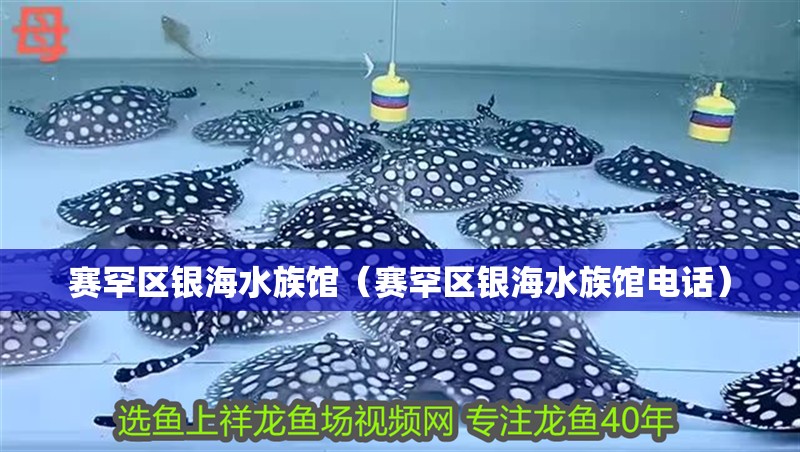 賽罕區銀海水族館（賽罕區銀海水族館電話）