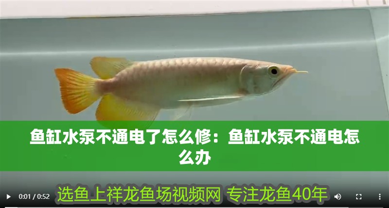 魚缸過濾器選購指南:自制魚缸過濾器魚缸上置過濾器對于養魚愛好者的必備知識 魚缸水泵不通電了怎么修:魚缸水泵不通電怎么辦 魚缸百科 魚缸水泵不通電了怎么修:魚缸水泵不通電怎么辦 魚缸水泵不通電了怎么修:魚缸水泵不通電怎么辦 魚缸百科