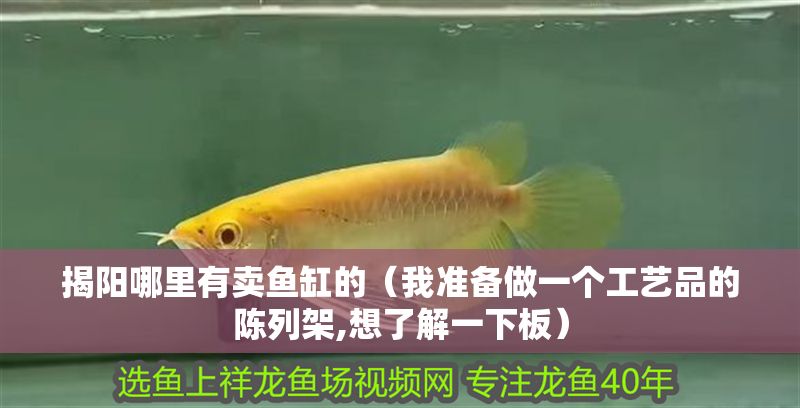揭陽(yáng)哪里有賣魚缸的（我準(zhǔn)備做一個(gè)工藝品的陳列架,想了解一下板）