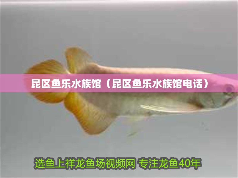 昆區(qū)魚樂水族館（昆區(qū)魚樂水族館電話）
