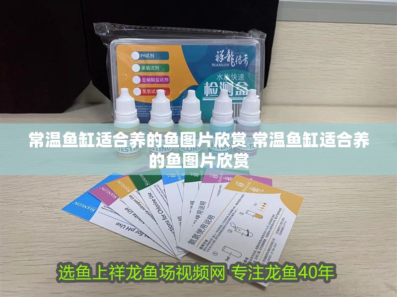 常溫魚缸適合養的魚圖片欣賞 常溫魚缸適合養的魚圖片欣賞