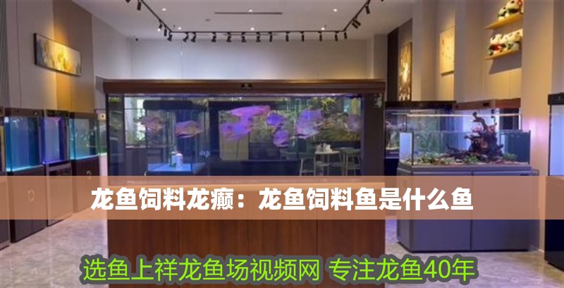 龍魚飼料龍癲：龍魚飼料魚是什么魚