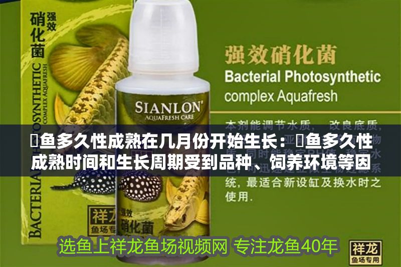魟魚多久性成熟在幾月份開始生長：魟魚多久性成熟時間和生長周期受到品種、飼養環境等因素影響