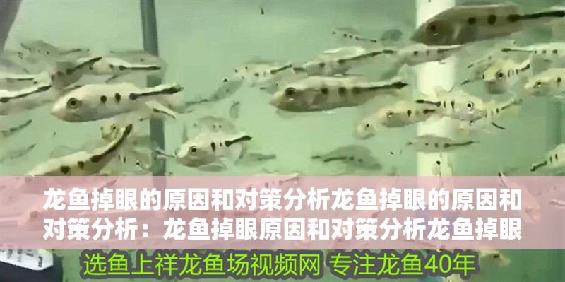 龍魚掉眼的原因和對策分析龍魚掉眼的原因和對策分析：龍魚掉眼原因和對策分析龍魚掉眼的原因和對策分析