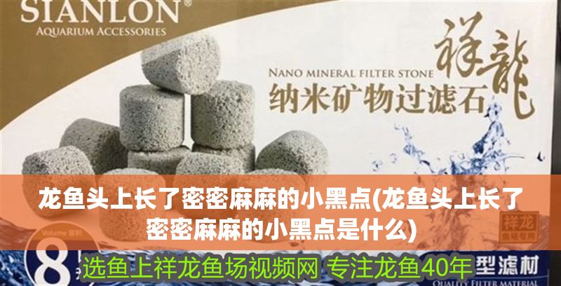 龍魚頭上長了密密麻麻的小黑點(龍魚頭上長了密密麻麻的小黑點是什么)