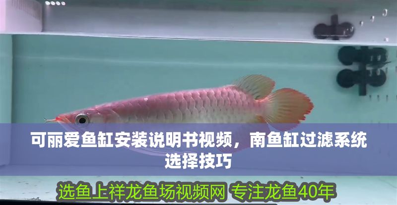 可麗愛魚缸安裝說明書視頻，南魚缸過濾系統(tǒng)選擇技巧