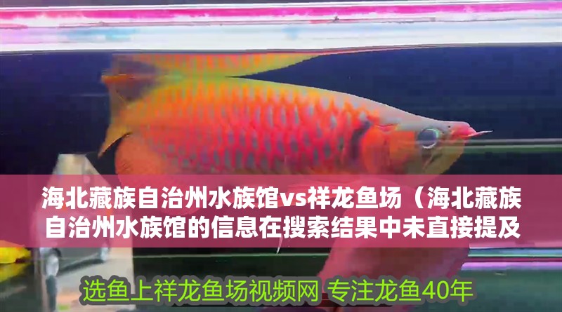 海北藏族自治州水族館vs祥龍魚場(海北藏族自治州水族館的信息在搜索結果中未直接提及) 全國水族館企業名錄 第1張 海北藏族自治州水族館vs祥龍魚場(海北藏族自治州水族館的信息在搜索結果中未直接提及) 海北藏族自治州水族館vs祥龍魚場(海北藏族自治州水族館的信息在搜索結果中未直接提及) 全國水族館企業名錄 第1張