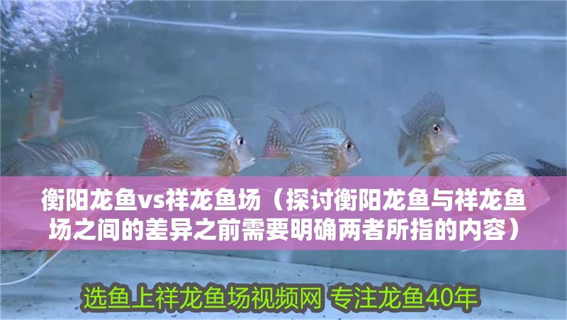 衡陽龍魚vs祥龍魚場（探討衡陽龍魚與祥龍魚場之間的差異之前需要明確兩者所指的內容）