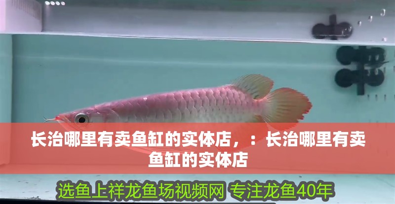長治哪里有賣魚缸的實體店，：長治哪里有賣魚缸的實體店