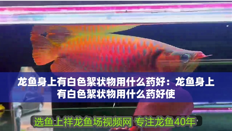 龍魚身上有白色絮狀物用什么藥好：龍魚身上有白色絮狀物用什么藥好使