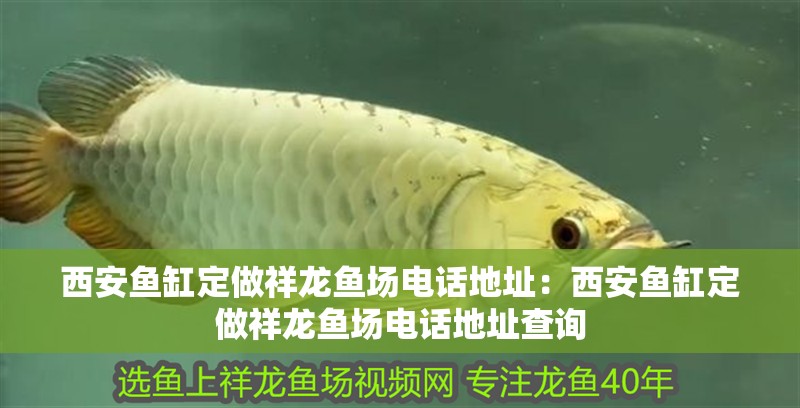 西安魚缸定做祥龍魚場電話地址：西安魚缸定做祥龍魚場電話地址查詢