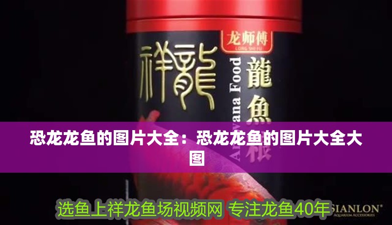 恐龍龍魚的圖片大全：恐龍龍魚的圖片大全大圖