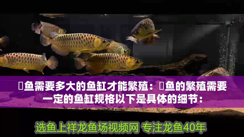 魟魚需要多大的魚缸才能繁殖：魟魚的繁殖需要一定的魚缸規格以下是具體的細節： 魟魚需要多大的魚缸才能繁殖：魟魚的繁殖需要一定的魚缸規格以下是具體的細節： 魟魚百科 第2張