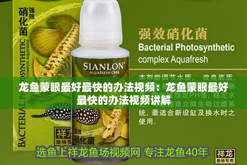 龍魚蒙眼最好最快的辦法視頻：龍魚蒙眼最好最快的辦法視頻講解