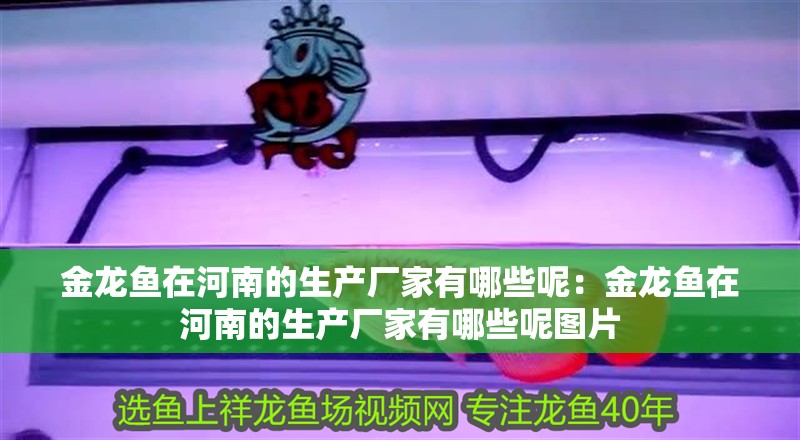 金龍魚在河南的生產廠家有哪些呢：金龍魚在河南的生產廠家有哪些呢圖片 金龍魚在河南的生產廠家有哪些呢：金龍魚在河南的生產廠家有哪些呢圖片 水族問答