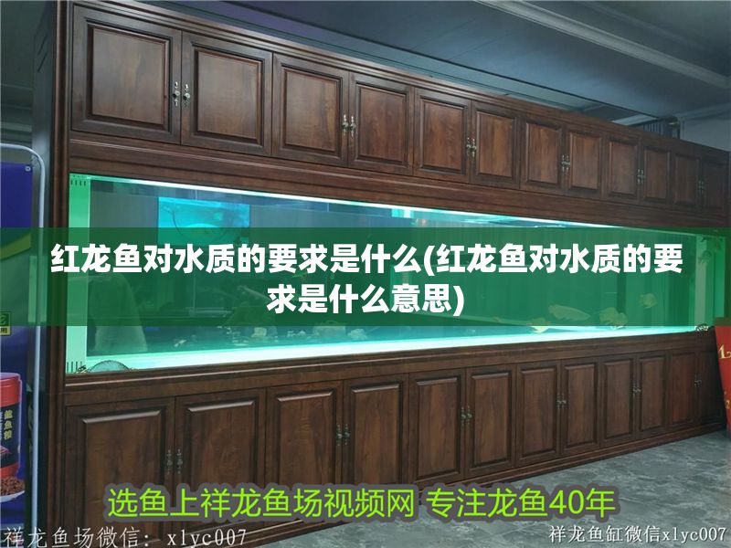 紅龍魚對(duì)水質(zhì)的要求是什么(紅龍魚對(duì)水質(zhì)的要求是什么意思)
