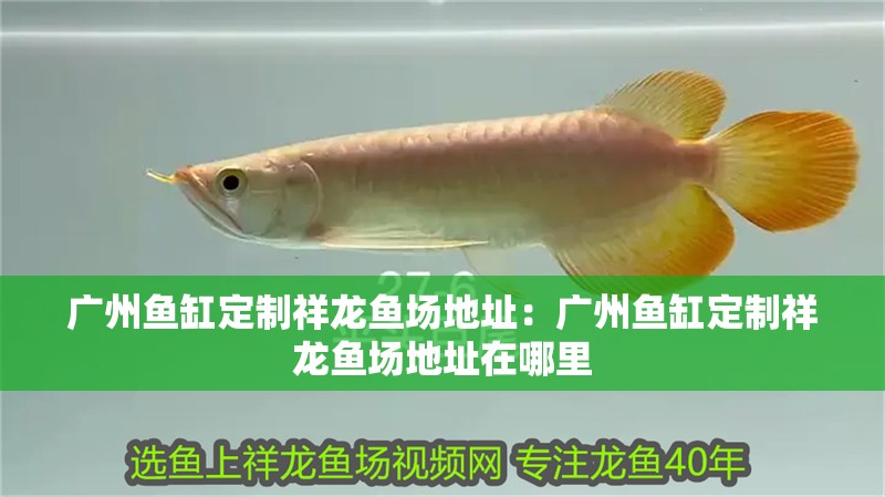 廣州魚缸定制祥龍魚場地址：廣州魚缸定制祥龍魚場地址在哪里