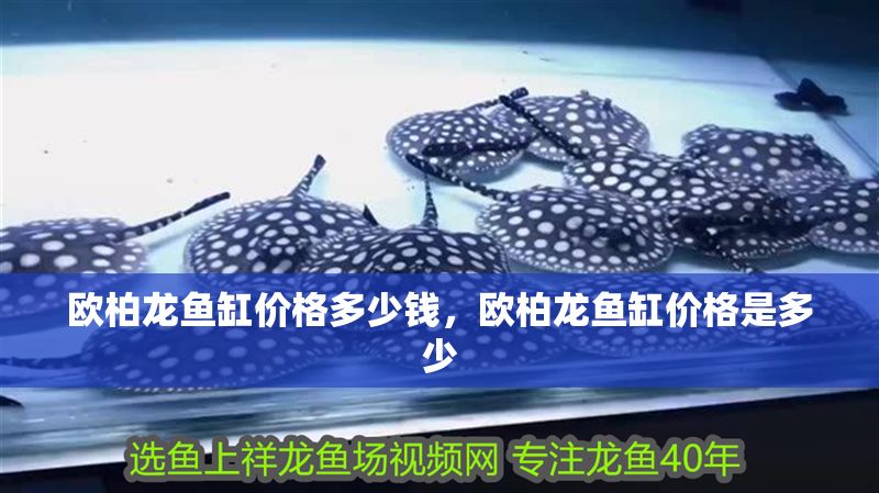 歐柏龍魚缸價格多少錢，歐柏龍魚缸價格是多少 歐柏龍魚缸價格多少錢，歐柏龍魚缸價格是多少 魚缸百科 第2張
