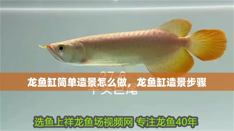 龍魚缸簡單造景怎么做，龍魚缸造景步驟