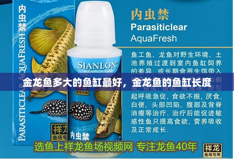 金龍魚多大的魚缸最好，金龍魚的魚缸長(zhǎng)度
