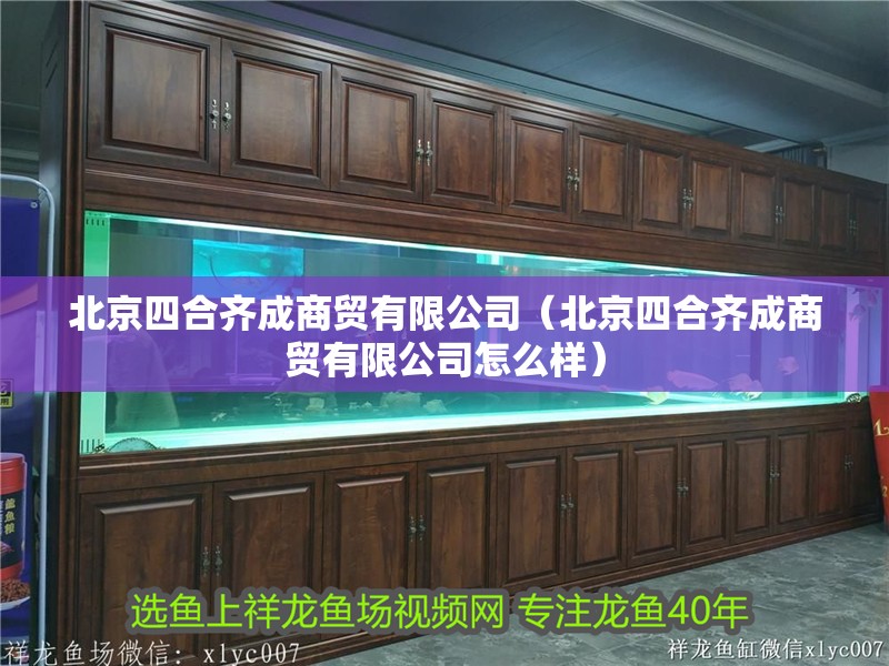 北京四合齊成商貿有限公司（北京四合齊成商貿有限公司怎么樣） 北京四合齊成商貿有限公司（北京四合齊成商貿有限公司怎么樣） 全國水族館企業名錄 第1張