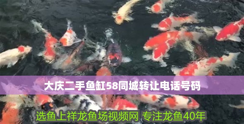 大慶二手魚缸58同城轉讓電話號碼