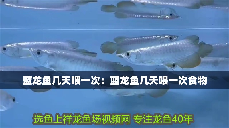 藍龍魚幾天喂一次：藍龍魚幾天喂一次食物