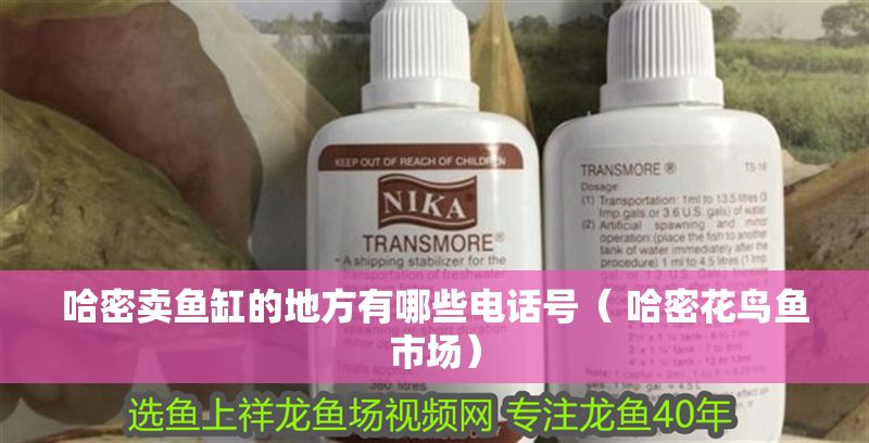 哈密賣魚缸的地方有哪些電話號（ 哈密花鳥魚市場）