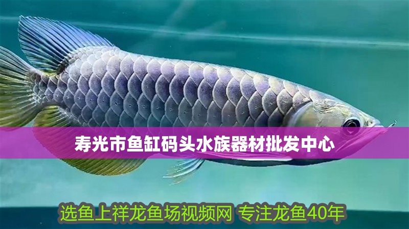 壽光市魚缸碼頭水族器材批發(fā)中心