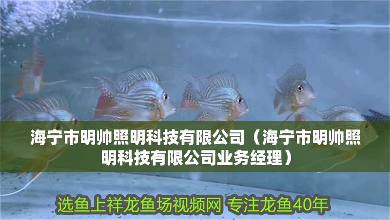 海寧市明帥照明科技有限公司（海寧市明帥照明科技有限公司業務經理）