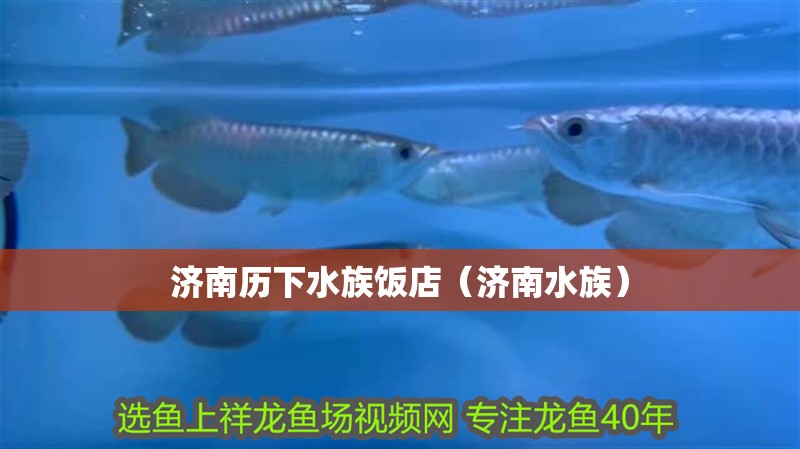 濟南歷下水族飯店（濟南水族）