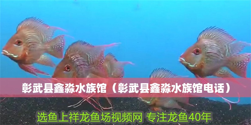 彰武縣鑫淼水族館（彰武縣鑫淼水族館電話）