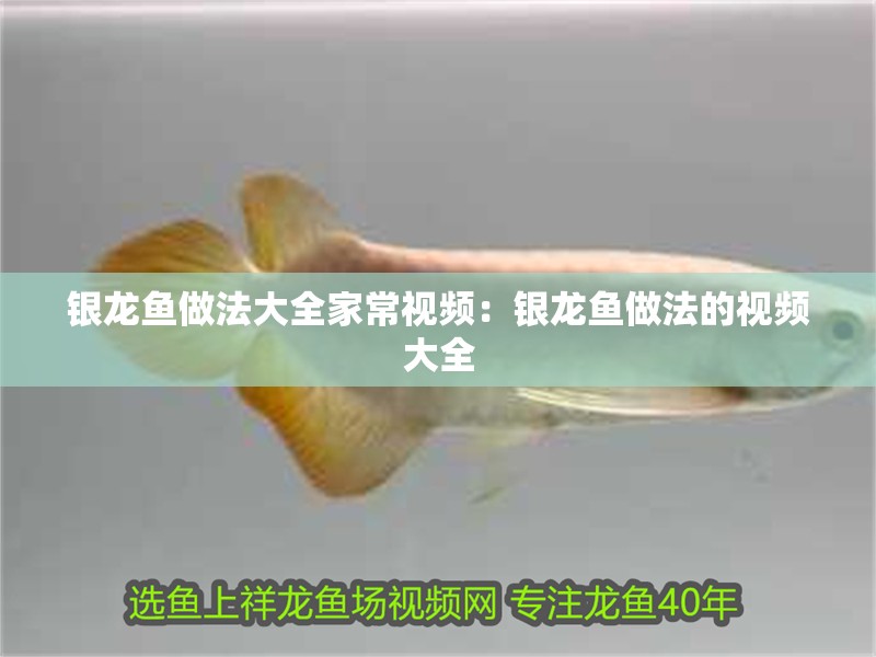 銀龍魚做法大全家常視頻：銀龍魚做法的視頻大全