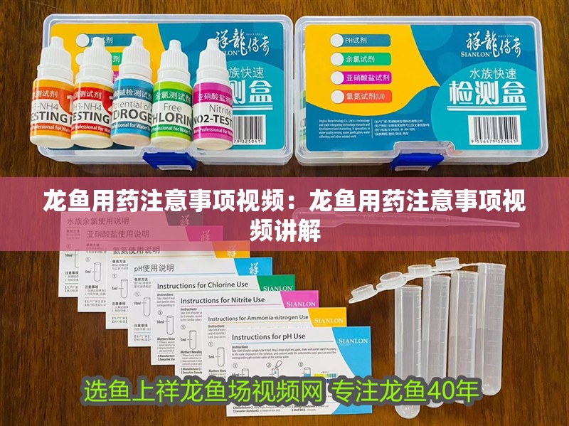 龍魚用藥注意事項視頻：龍魚用藥注意事項視頻講解