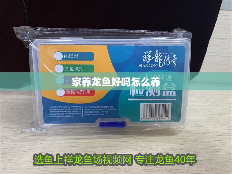 家養龍魚好嗎怎么養