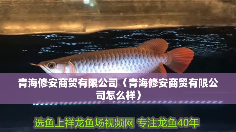 青海修安商貿有限公司（青海修安商貿有限公司怎么樣）