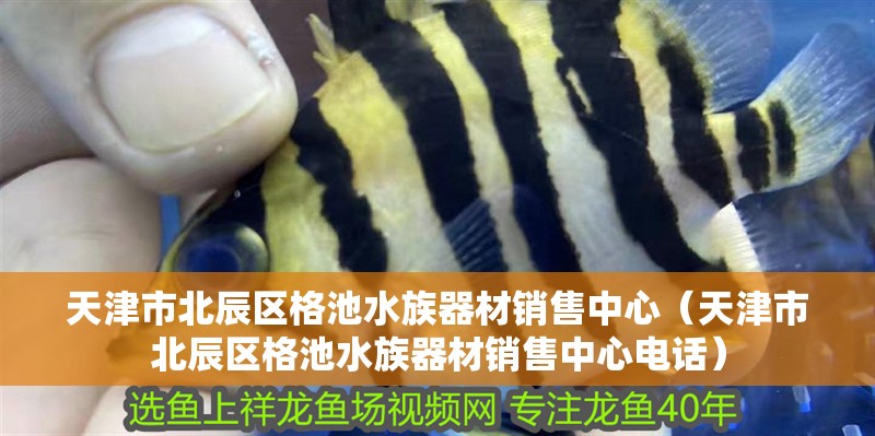 天津市北辰區格池水族器材銷售中心（天津市北辰區格池水族器材銷售中心電話）