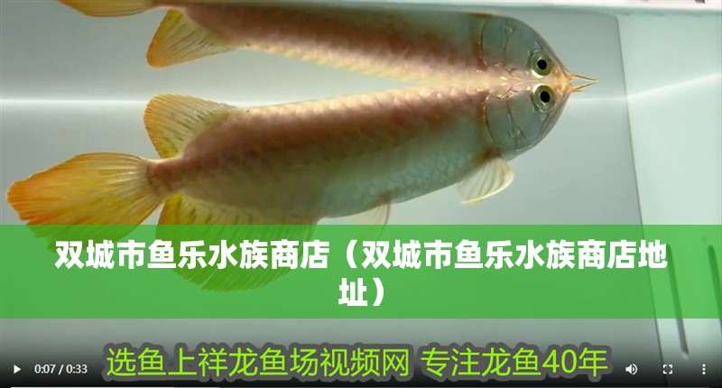 雙城市魚樂水族商店（雙城市魚樂水族商店地址）
