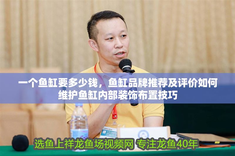 一個魚缸要多少錢，魚缸品牌推薦及評價如何維護魚缸內部裝飾布置技巧