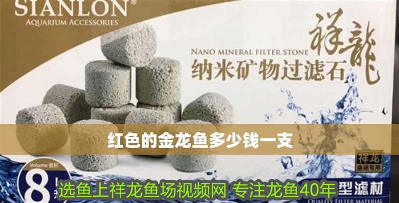 紅色的金龍魚多少錢一支 紅色的金龍魚多少錢一支 龍魚百科 第2張