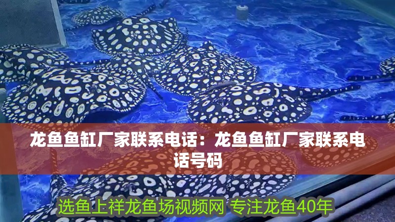 龍魚魚缸廠家聯系電話：龍魚魚缸廠家聯系電話號碼