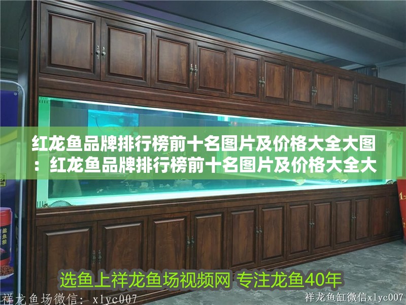 紅龍魚品牌排行榜前十名圖片及價(jià)格大全大圖：紅龍魚品牌排行榜前十名圖片及價(jià)格大全大圖