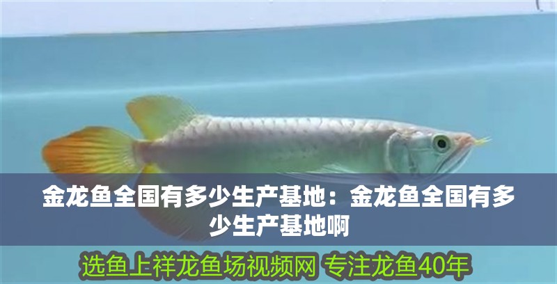 金龍魚全國有多少生產基地：金龍魚全國有多少生產基地啊