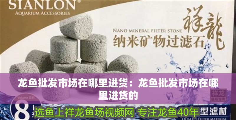 龍魚批發(fā)市場在哪里進(jìn)貨：龍魚批發(fā)市場在哪里進(jìn)貨的