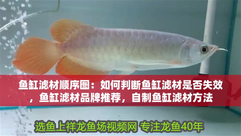 魚缸濾材順序圖：如何判斷魚缸濾材是否失效，魚缸濾材品牌推薦，自制魚缸濾材方法