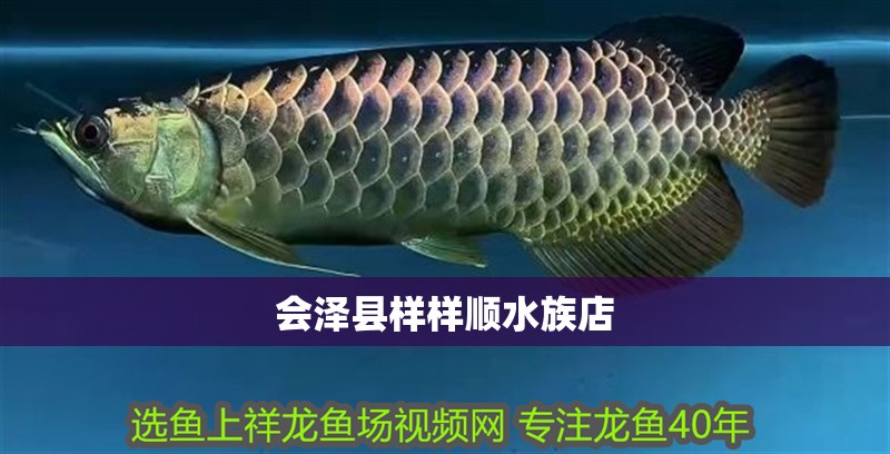 會澤縣樣樣順水族店