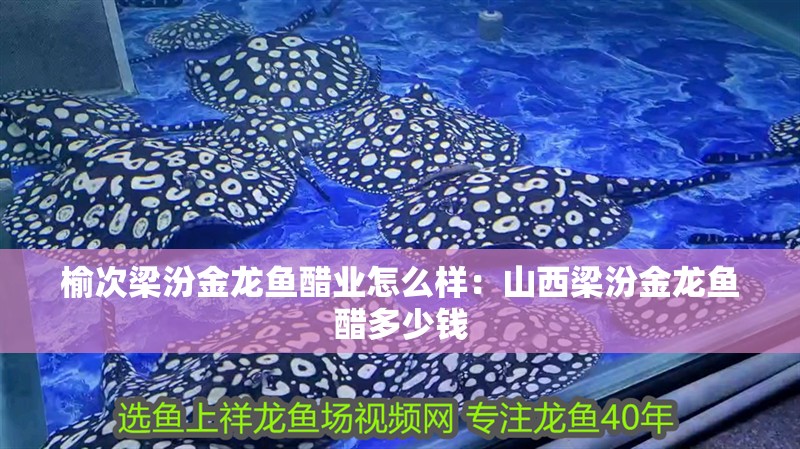 榆次梁汾金龍魚醋業怎么樣：山西梁汾金龍魚醋多少錢